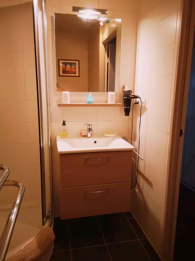 Studio "Chez Alain" Avec Garage Securise Et Clim Chamalières 외부 사진